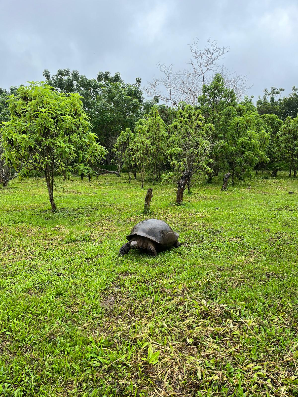 Galápagos landscape