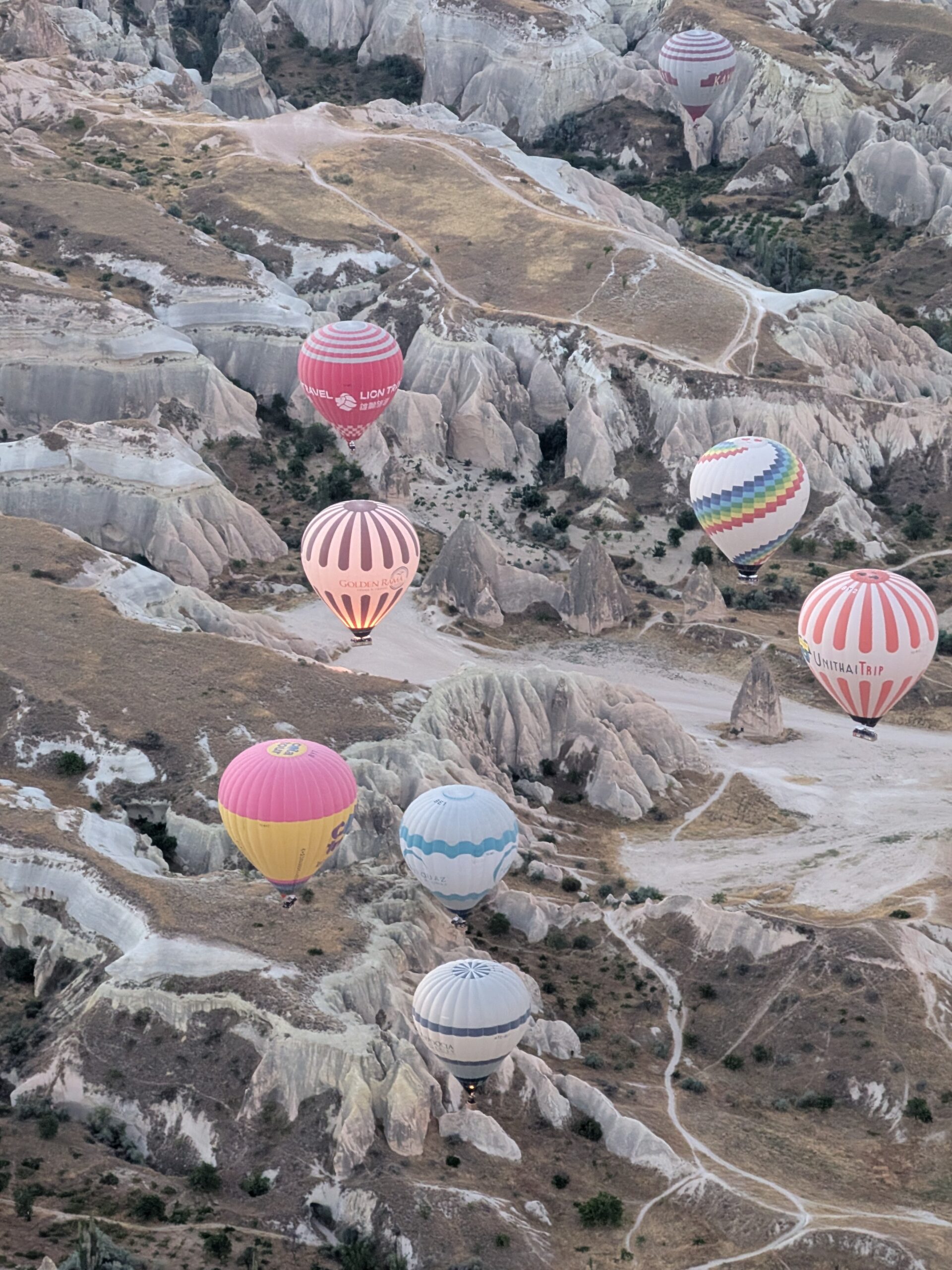 Hot-air balloon interior shot, dozens of balloons in the sky below